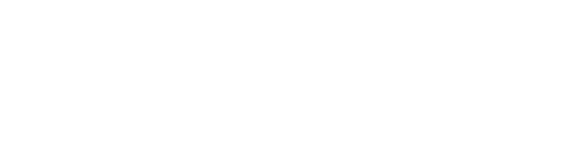 BizStudio